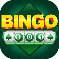 BINGO 101 logo