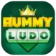 RUMMY LUDO logo